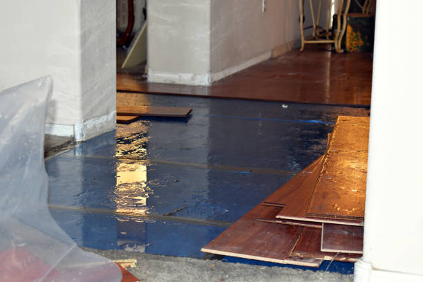 Professional Basement Flood Cleanup technician working in Elrama, PA